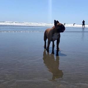 Meet your Posher, Susanne